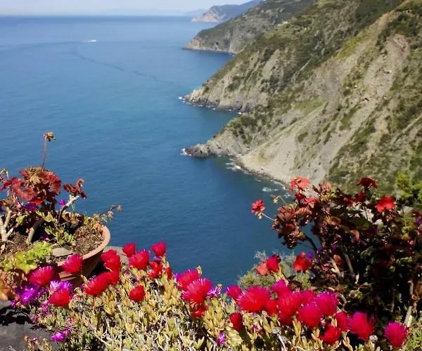 House Vicino Stazione *