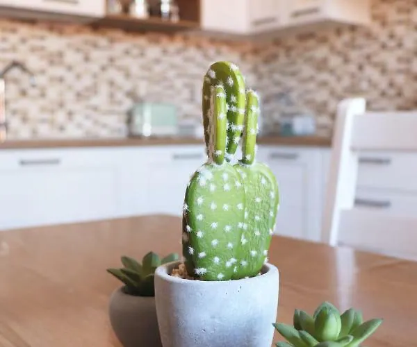 House Vicino Stazione Apartment *